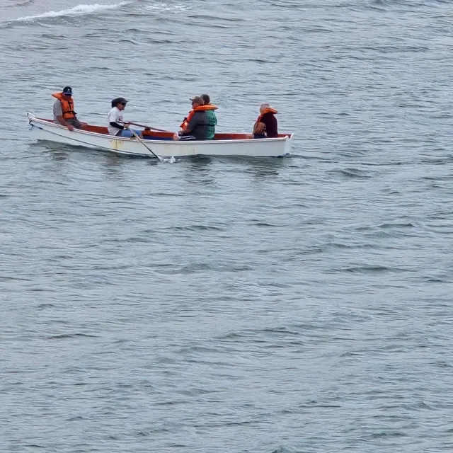 Barco a remo na baía